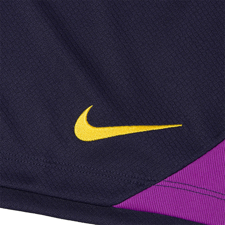 Шорты мужские Nike FCB M NK DF STRK SHORT KZ L Синий photo 7