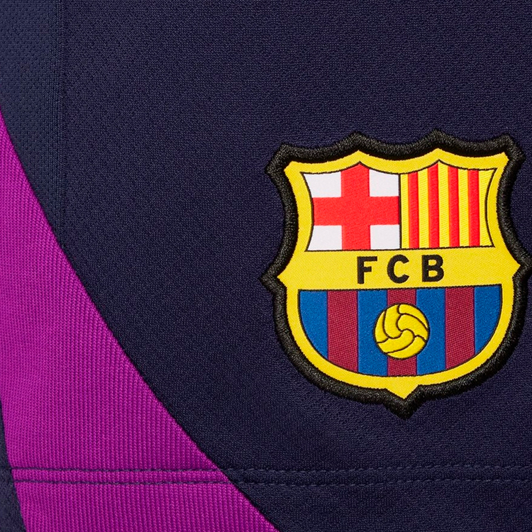 Шорты Nike FCB Y NK DF STRK SHORT KZ L Синий Мужской photo 3