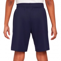 Шорты Nike FCB Y NK DF STRK SHORT KZ thumbnav 4