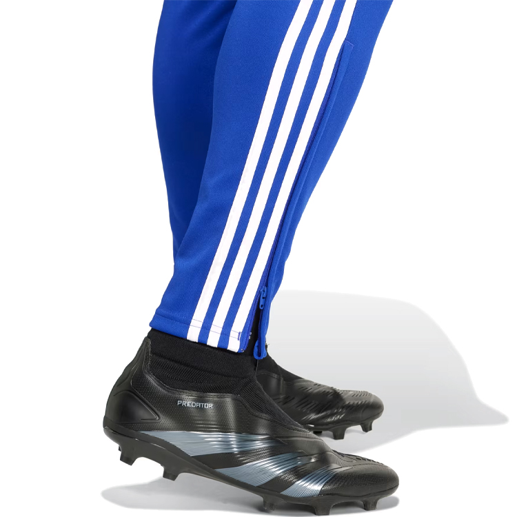 Брюки Adidas TIRO24 TRPNT S S Синий Мужской photo 2