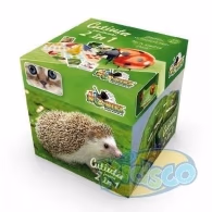 Noriel NOR2655 Noriel Games-Cutiuta Cu Activitati 2 In 1