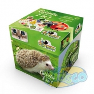 Noriel NOR2655 Noriel Games-Cutiuta Cu Activitati 2 In 1 thumbnav 1