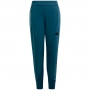 Брюки Adidas J Z.N.E. PT thumbnav 1