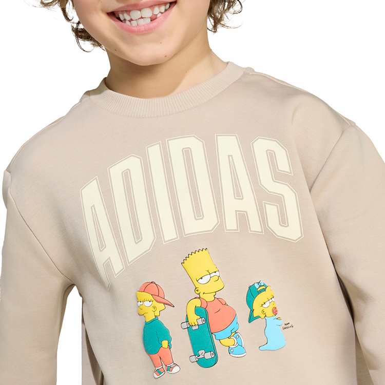 Спортивный костюм Adidas The Simpsons photo 5