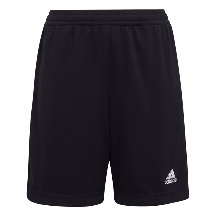 Sorti Adidas ENT22 TR SHOY  