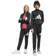 Спортивный костюм Adidas J BL TR TS 205 thumbnav