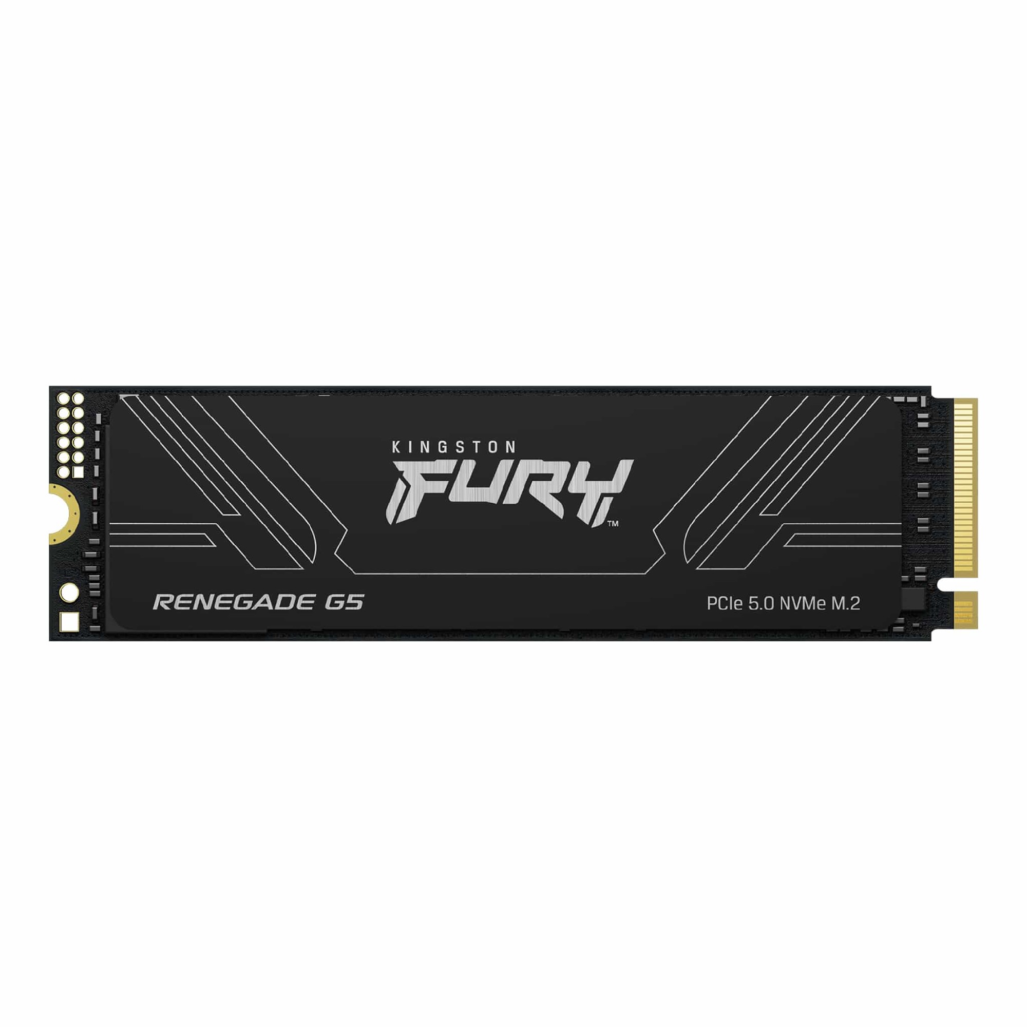 M.2 NVMe SSD Kingston Fury Renegade G5 4TB (SFYR2S/4T0) photo 1
