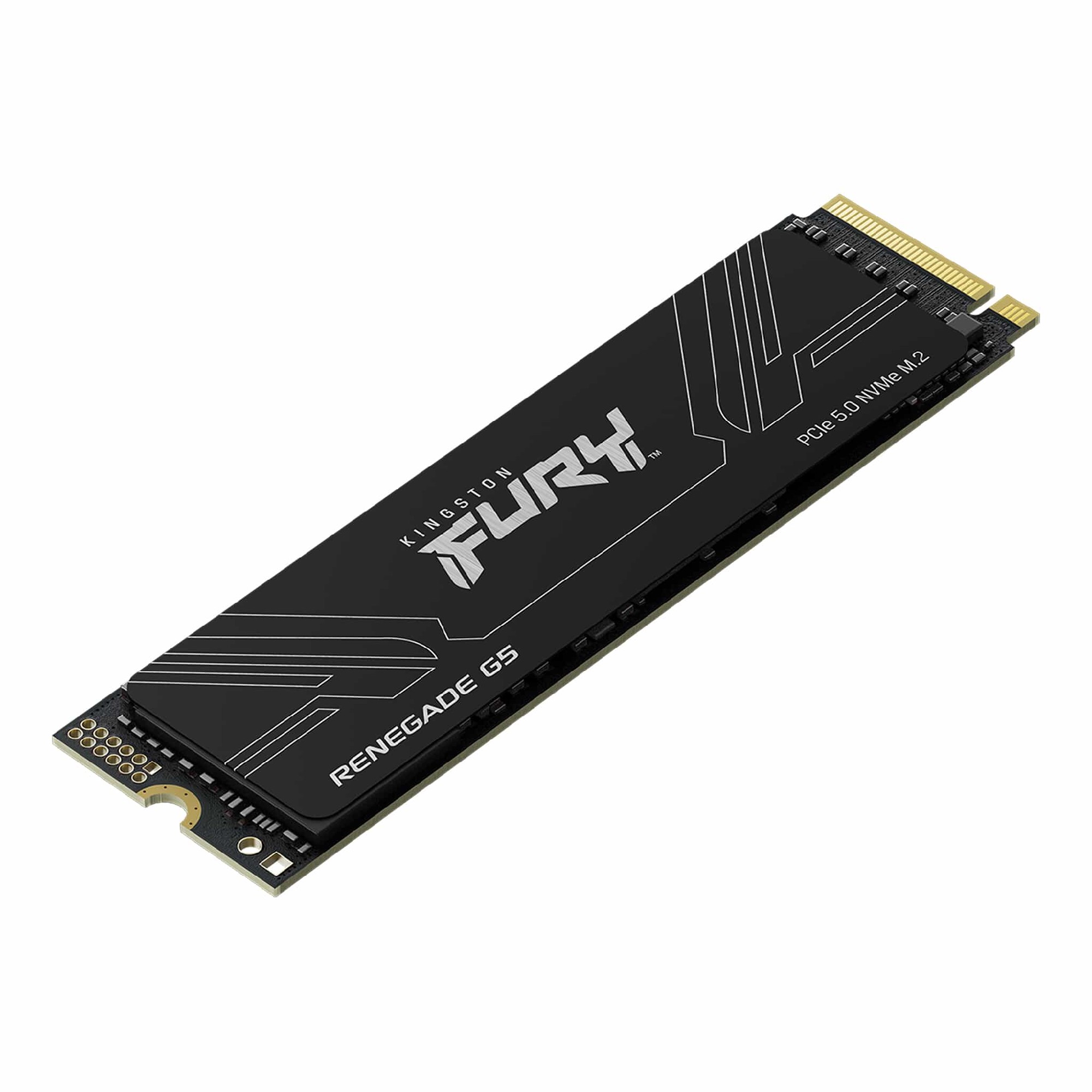 M.2 NVMe SSD Kingston Fury Renegade G5 4TB (SFYR2S/4T0) photo 2