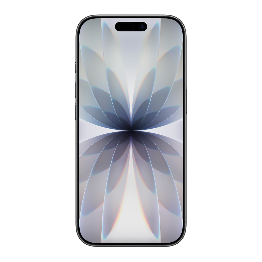iPhone 17, 256 ГБ, Black (MG6J4ZD/A) photo 2