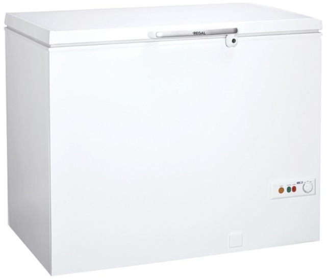 Морозильный ларь Regal RGL300A+, 282 л, 88.5 см, A+, Белый  photo 