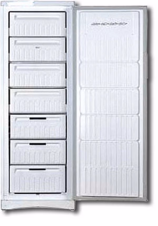 Морозильная камера Indesit NUS161AH, 247 л, 167 см, A+, Белый