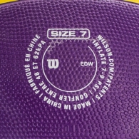 Minge basket Wilson NBA Team Tribute BSKT La Lakers thumbnav 3