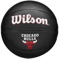 Minge Wilson CHICAGO BULLS MINI