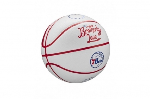 Minge basket Wilson NBA TEAM CITY COLLECTORS MIL BUCK thumbnav 2