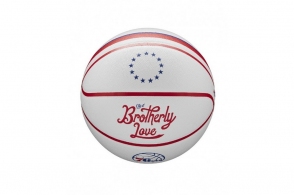 Minge basket Wilson NBA TEAM CITY COLLECTORS MIL BUCK thumbnav 3