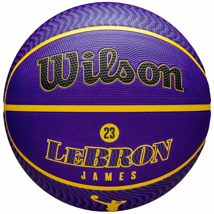 Minge basket Wilson NBA PLAYER ICON OUTDOOR BSKT LEBRON NE 7