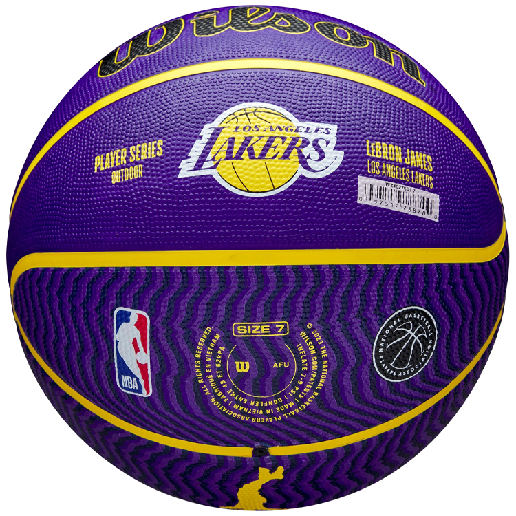 Minge basket Wilson NBA PLAYER ICON OUTDOOR BSKT LEBRON NE 7 photo 2