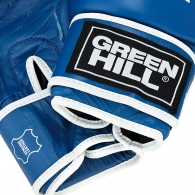 Manusi pentru box Green Hill PUNCH thumbnav 7