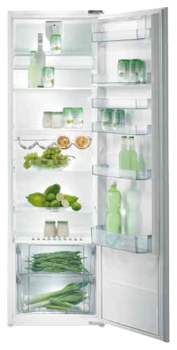 Frigider incorporabil Gorenje RI4181BW photo 1