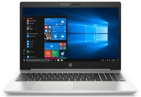 Laptop HP ProBook 450 G7 (8MH13EAACB), Core i5, 8 GB GB, Windows 10