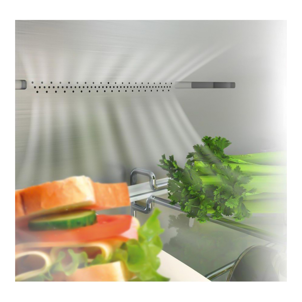 Frigider cu doua usi Hisense RB440N4ACD / 336 l / 200 cm / D / Gri photo 5