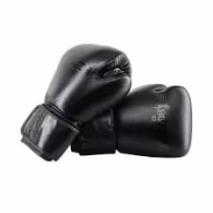 Manusi pentru box Boxeur BXT-5194-BLACK