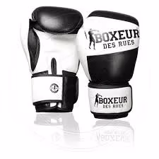 Перчатки для бокса Boxeur BXT-591-BLACK 