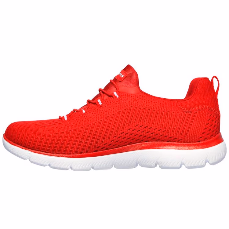 Кроссовки Skechers Summits Fast Atractioan