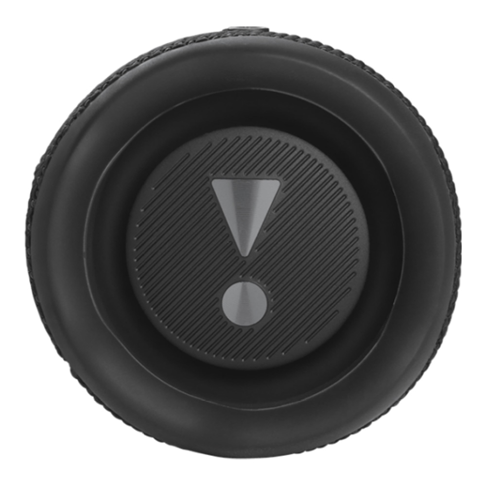 Портативная колонка JBL FLIP 6 Черный photo 5
