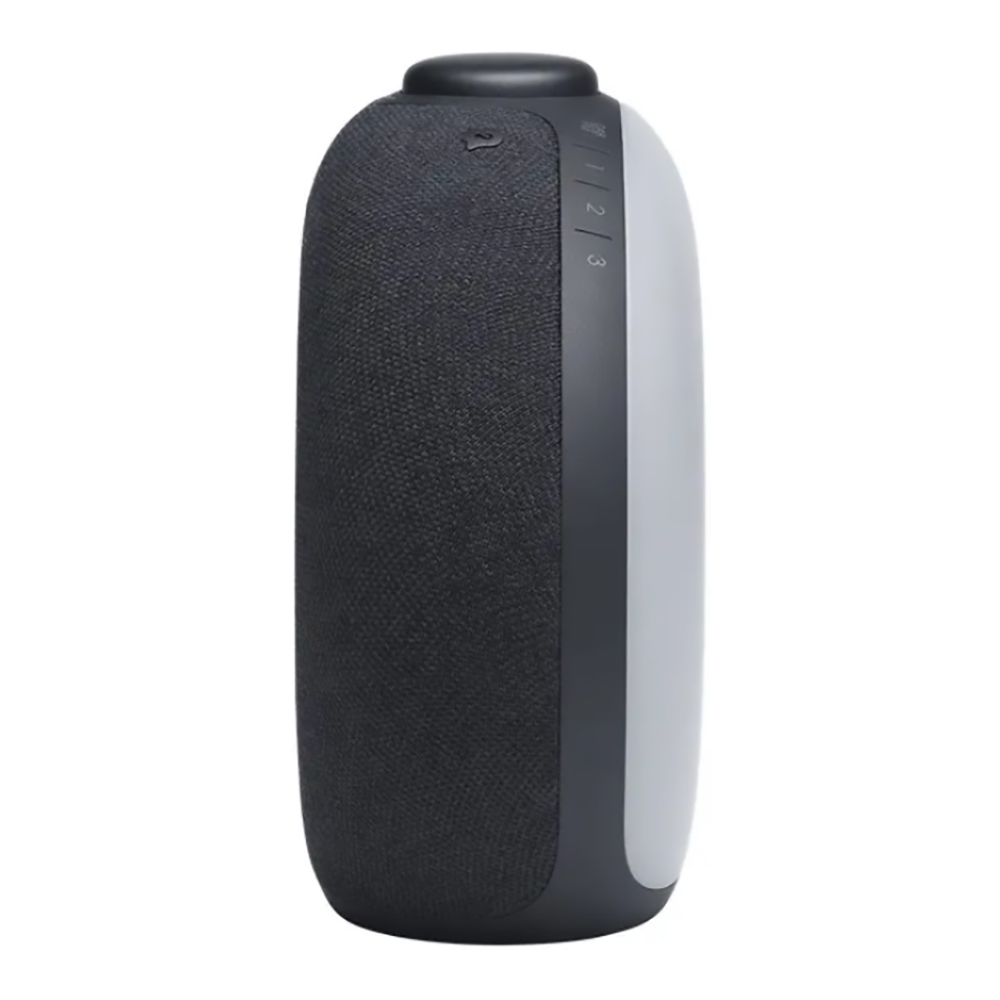 Портативная колонка JBL HORIZON 2 Черный photo 7