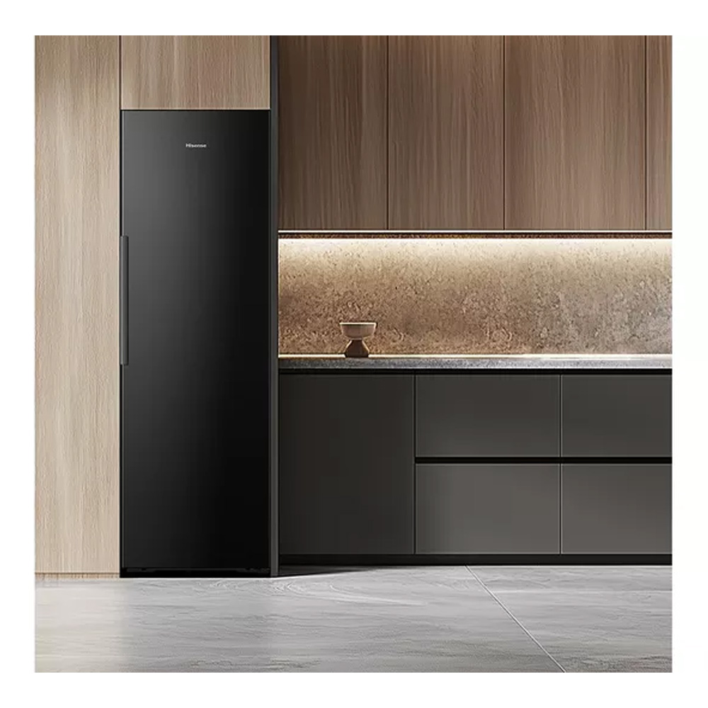Frigider cu o usa Hisense RL5K370GSFC / 372 l / 185.6 cm / C / Negru photo 16