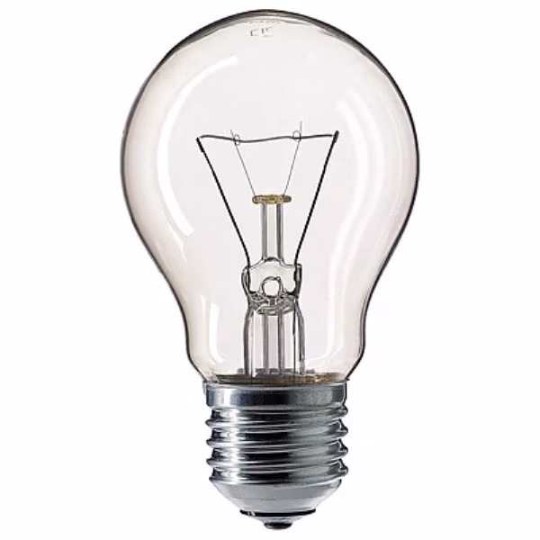 Bec cu incandescenta Philips A55 100W FR
