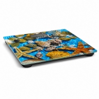 Cintar de podea Vegas VFS3080FS thumbnav 2
