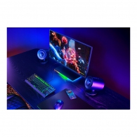 Компьютерные колонки Razer V2 X Full-Range (RZ0504760100R3G1) thumbnav 4
