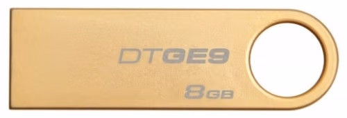 USB Флэш Kingston DTGE9 8GB