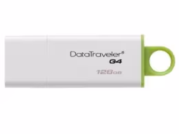 USB Flash Kingston DTIG4