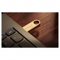 USB Флэш Kingston DataTraveler SE9 G3 256Gb Gold thumbnav 4