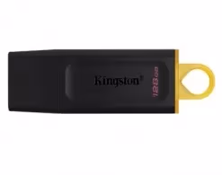 USB Флэш Kingston DTX128GB