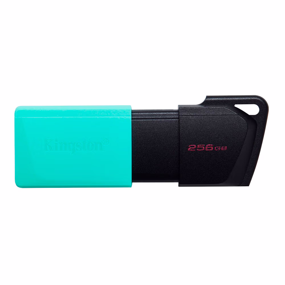 USB Flash Kingston DTXM256GB