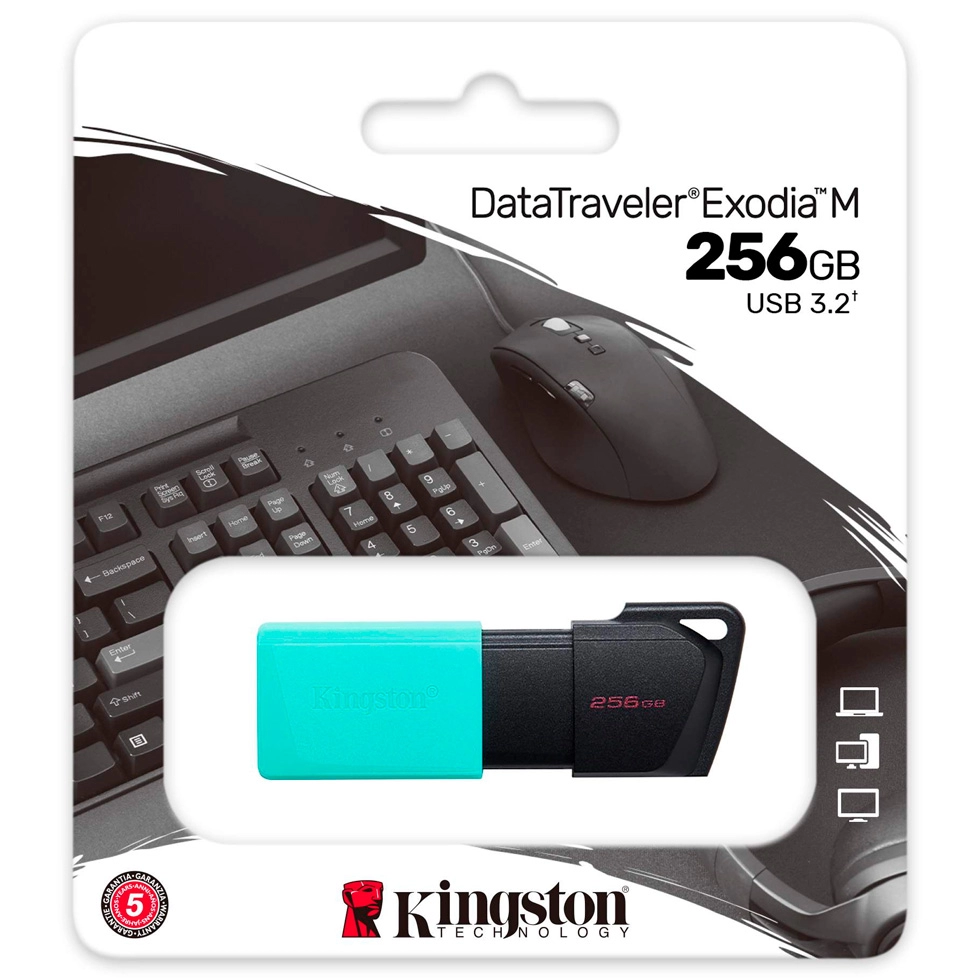 USB Flash Kingston DTXM256GB