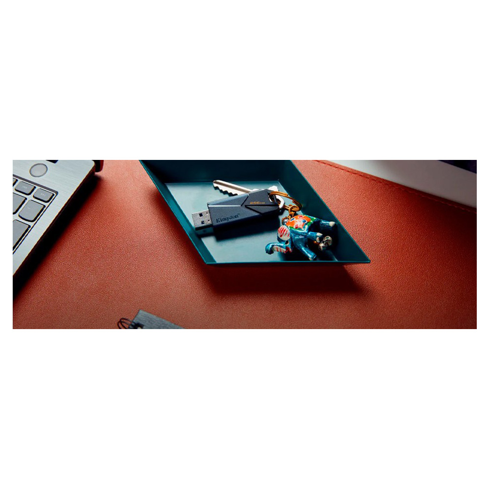 USB Флэш Kingston DTXON64GB photo 5