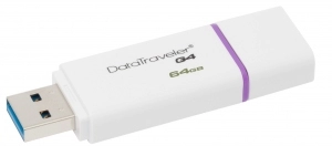 USB Флэш Kingston DataTraveler G4 64GB