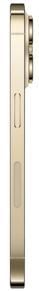 Смартфон Apple iPhone 14 Pro / 6.1'' / 6 ГБ / 256 ГБ / Золотой photo 2