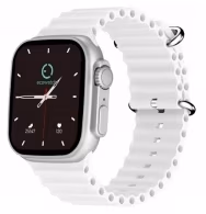 Смарт часы Maxcom Ecowatch 2