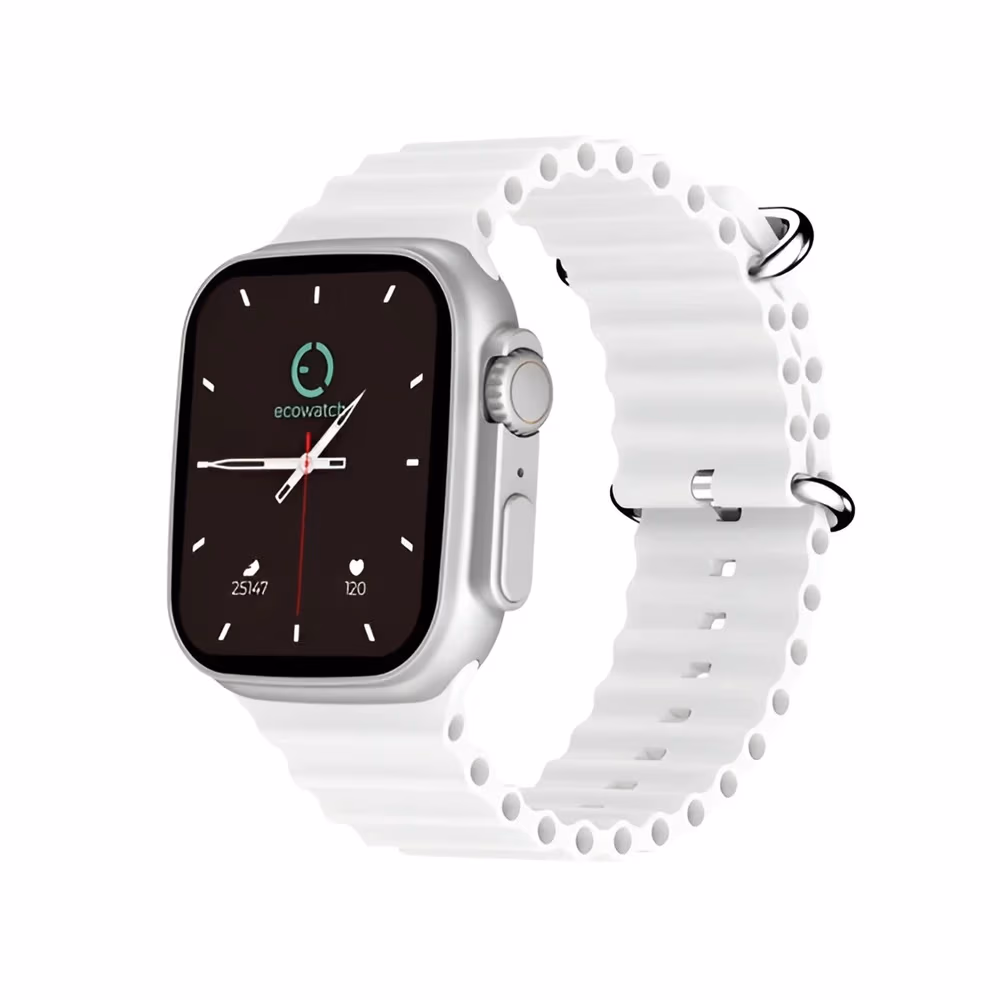 Смарт часы Maxcom Ecowatch 2