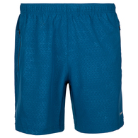Шорты Demix Men running shorts thumbnav