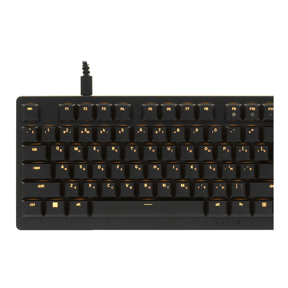 Клавиатура проводная  Razer DeathStalker V2 USB RGB (RZ03-04500100-R3M1) / Механическая photo 4