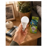 Bec LED Ergolux SETPROMO thumbnav 4