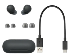 Casti fara fir Sony WFC 700NB thumbnav 4