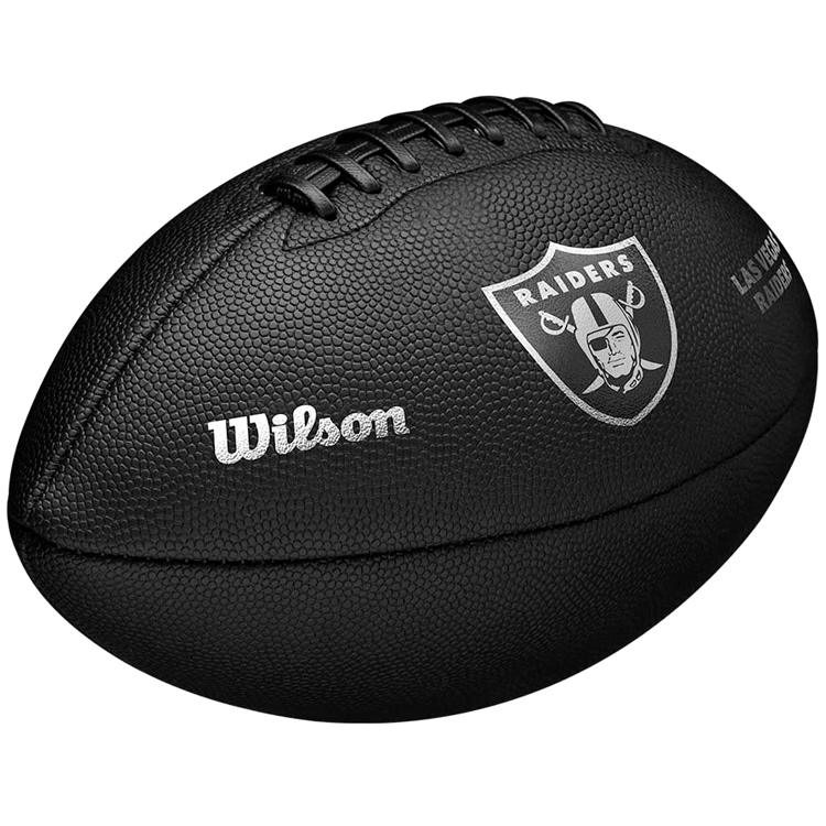 Мяч для регби Wilson NFL BACKYARD LEGEND BLACK LV OF photo 2
